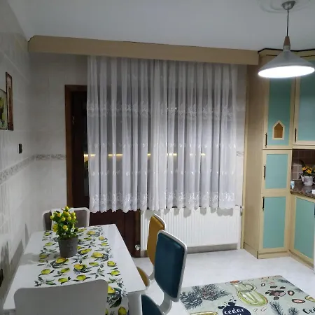 Manolya Villa Sapanca